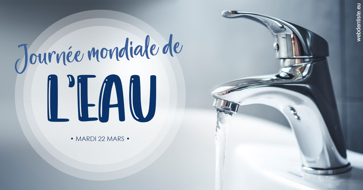 https://www.cabinetdocteursrispalmoussus.fr/La journée de l'eau 2