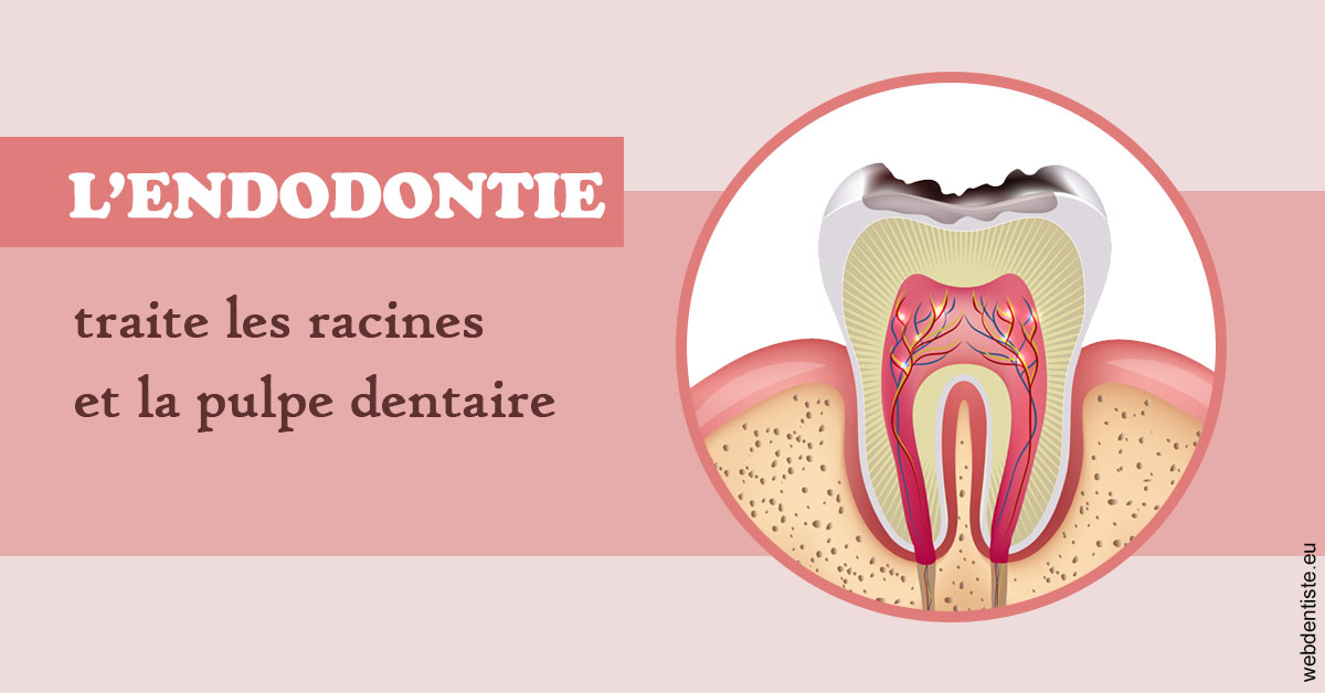 https://www.cabinetdocteursrispalmoussus.fr/L'endodontie 2