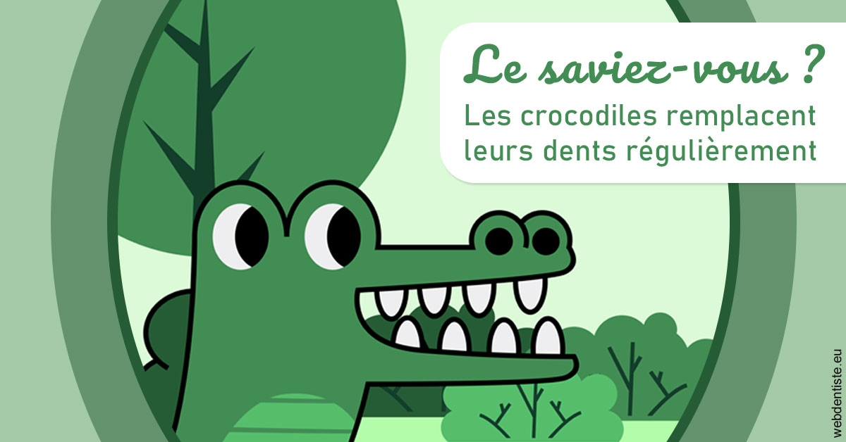 https://www.cabinetdocteursrispalmoussus.fr/Crocodiles 2