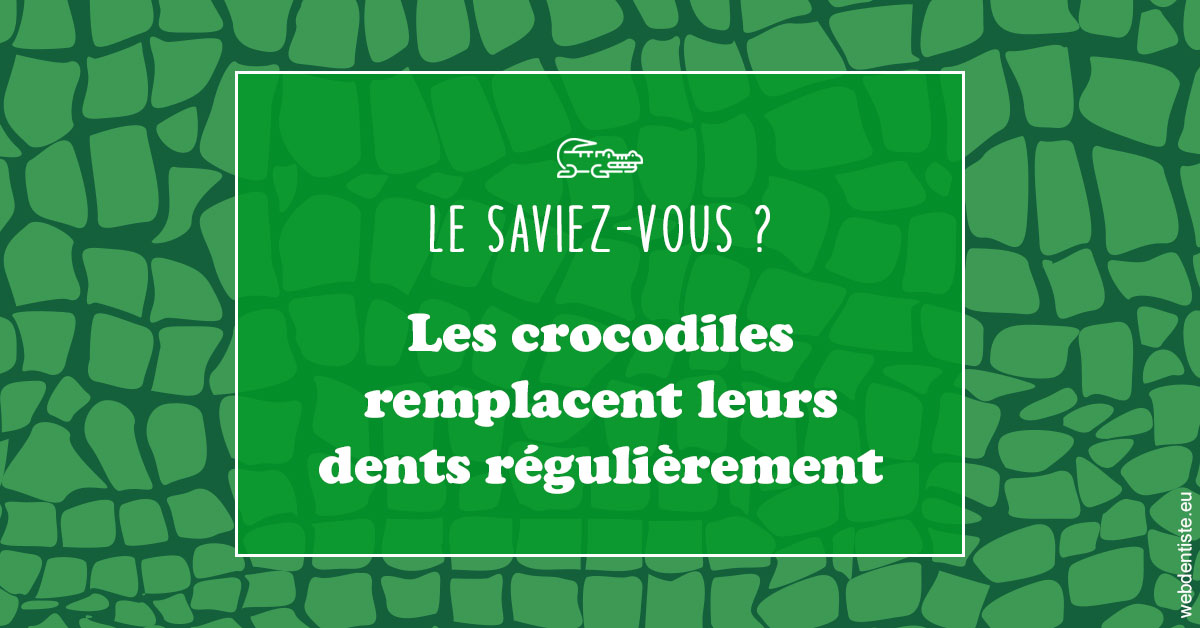 https://www.cabinetdocteursrispalmoussus.fr/Crocodiles 1